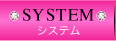 �V�X�e��